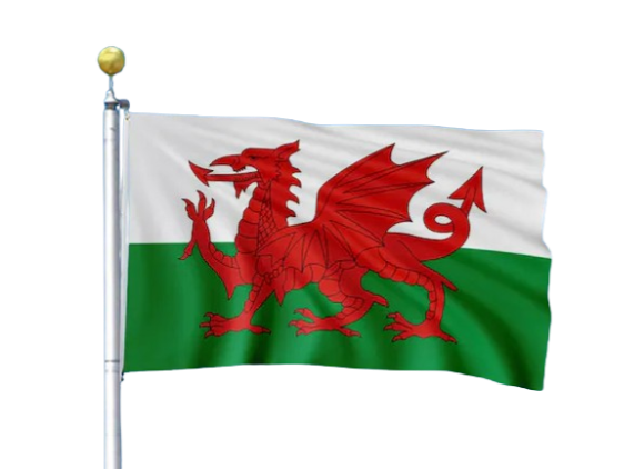 Welsh Flag 5ft x 3ft - Scottish Retail