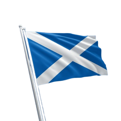 Scotland St. Andrews Cross Metal License Plate - 6x12 Inch Novelty